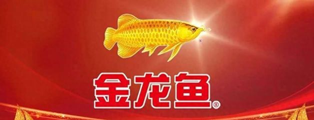 金龍魚吃啥食物