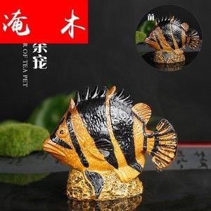 金龍魚吃什么食物才會變色：金龍魚吃什么發(fā)色好金龍魚吃什么發(fā)色最好 龍魚百科 第6張