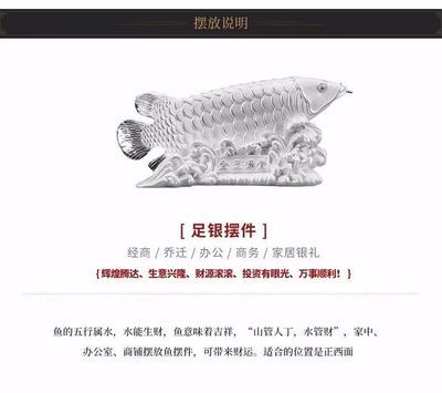 金龍魚(yú)擺件放在家里什么位置好：金龍魚(yú)擺件怎么擺放位置 龍魚(yú)百科 第5張