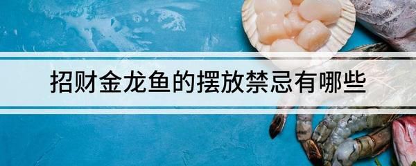 金龍魚擺放魚頭是往哪個方向放：客廳里擺金龍魚頭向哪里擺好 龍魚百科 第2張