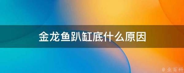 金龍魚吃食正常趴缸底怎么回事：金龍魚吃食正常但趴缸底可能涉及多種原因 龍魚百科 第5張