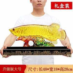 金龍魚(yú)尺寸分類表：金龍魚(yú)尺寸分類 龍魚(yú)百科 第6張