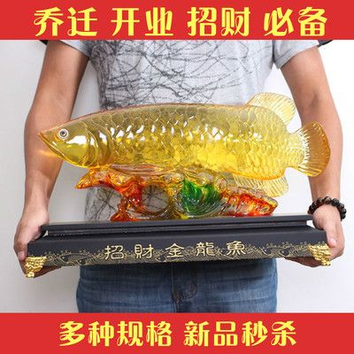 金龍魚(yú)尺寸分類表：金龍魚(yú)尺寸分類 龍魚(yú)百科 第5張