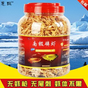 金龍魚吃什么食料最好養(yǎng)：金龍魚吃什么食物最好 龍魚百科 第1張