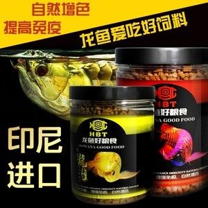 金龍魚愛吃什么魚食：關(guān)于金龍魚食物偏好的詳細(xì)信息 龍魚百科 第3張