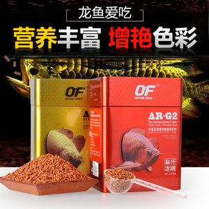 金龍魚愛吃什么魚食：關(guān)于金龍魚食物偏好的詳細(xì)信息 龍魚百科 第6張