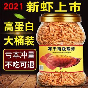 金龍魚吃蝦干嗎：金龍魚吃蝦干好嗎？ 龍魚百科 第7張