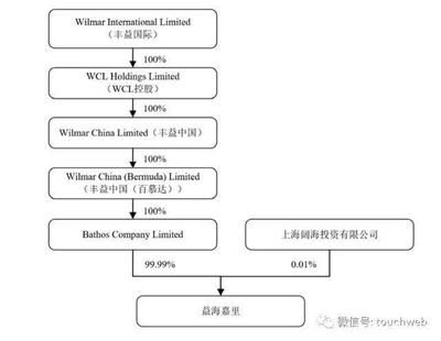 金龍魚背后股東：揭秘金龍魚背后的10大股東 龍魚百科 第4張