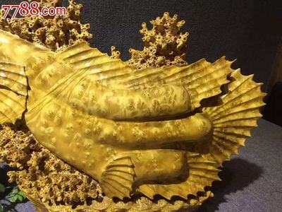 金龍魚(yú)擺件什么材質(zhì)好：金龍魚(yú)擺件大號(hào)【報(bào)價(jià)價(jià)格評(píng)測(cè) 龍魚(yú)百科 第1張