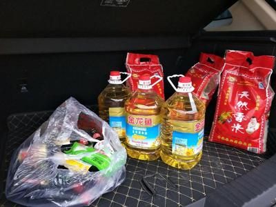 金龍魚白毛病用什么藥：如何治療金龍魚的白毛病 龍魚百科 第5張