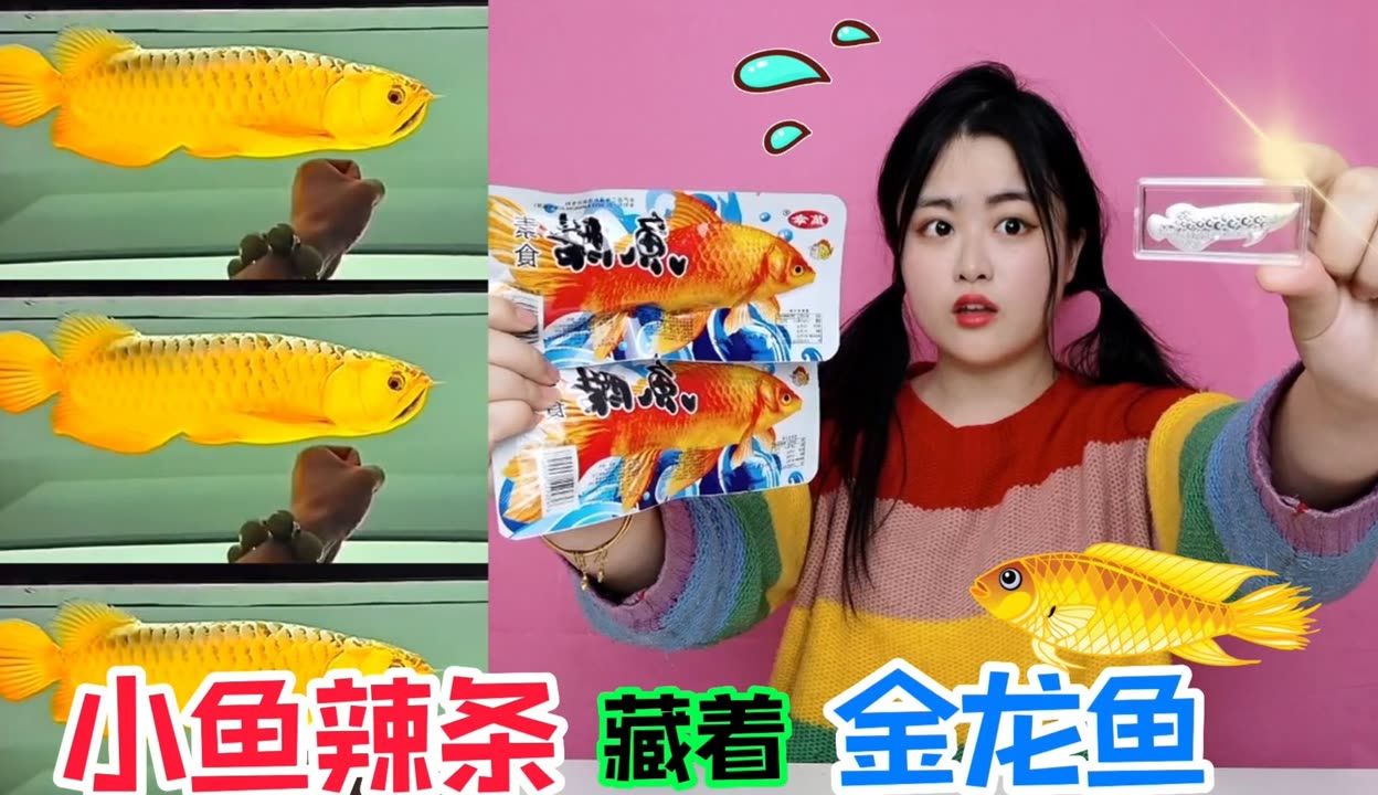 金龍魚吃不吃小魚：關(guān)于金龍魚吃不吃小魚的詳細(xì)解釋金龍魚吃小魚怎么辦