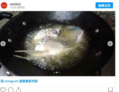 金龍魚半個(gè)月不喂可以嗎：金魚一周不喂食會(huì)死嗎