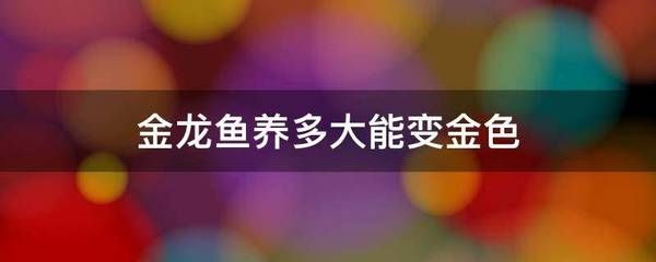 金龍魚變金色過程：如何讓金龍魚展現(xiàn)出美麗的金色 龍魚百科 第1張