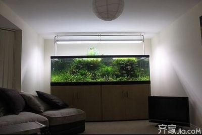 家庭裝修魚缸好嗎（360問答｜家里魚缸擺放有講究） 魚缸風水 第1張