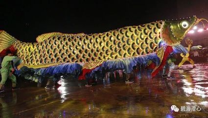 潮汕龍魚是什么魚（潮汕哪里的龍魚性價(jià)比較高？） 魚缸風(fēng)水 第1張