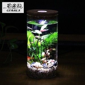 室內(nèi)裝修魚缸好嗎（室內(nèi)裝修時是否擺放魚缸） 魚缸風水 第7張