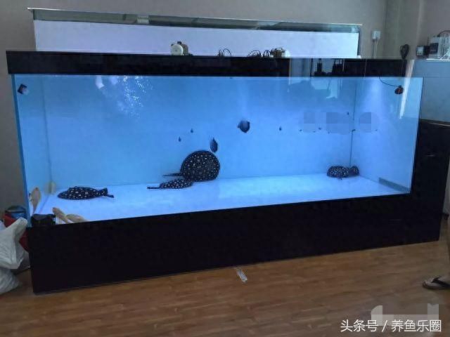 預留魚缸上下水（如何預留魚缸上下水）