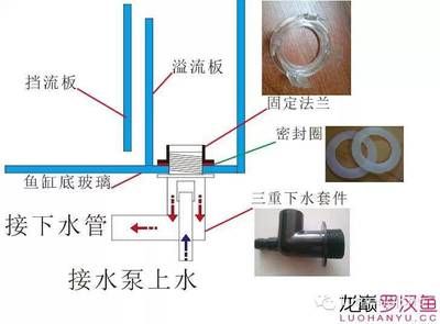 魚缸上水快下水慢怎么解決圖片（魚缸上水快下水慢怎么辦） 魚缸風(fēng)水 第6張