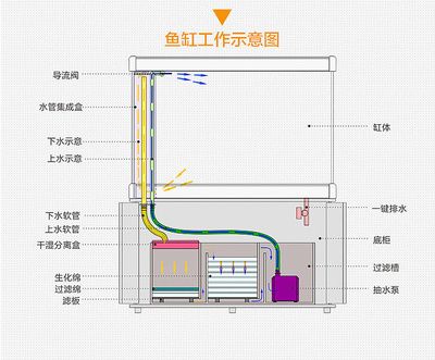 魚缸上水快下水慢怎么解決圖片（魚缸上水快下水慢怎么辦） 魚缸風(fēng)水 第4張