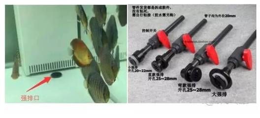 魚(yú)缸管路安裝視頻（醉臥菩提孔雀魚(yú)系統(tǒng)缸管路安裝視頻在線觀看優(yōu)酷） 魚(yú)缸風(fēng)水 第7張