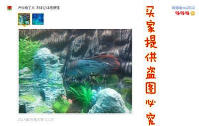 魚缸裝飾效果圖大全2014圖片（魚缸裝飾效果圖大全2014） 魚缸風(fēng)水 第7張