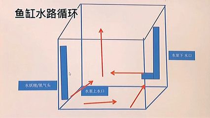 魚缸上下水口位置（魚缸上下水口位置對于魚缸的正常運(yùn)作和維護(hù)非常重要） 魚缸風(fēng)水 第6張