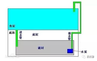 魚缸上排水好還是下排水好（魚缸上排水和下排水的區(qū)別） 魚缸風水 第1張