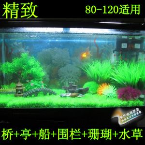 魚缸裝扮圖片欣賞（如何將魚缸裝扮的更漂亮？） 魚缸風(fēng)水 第3張