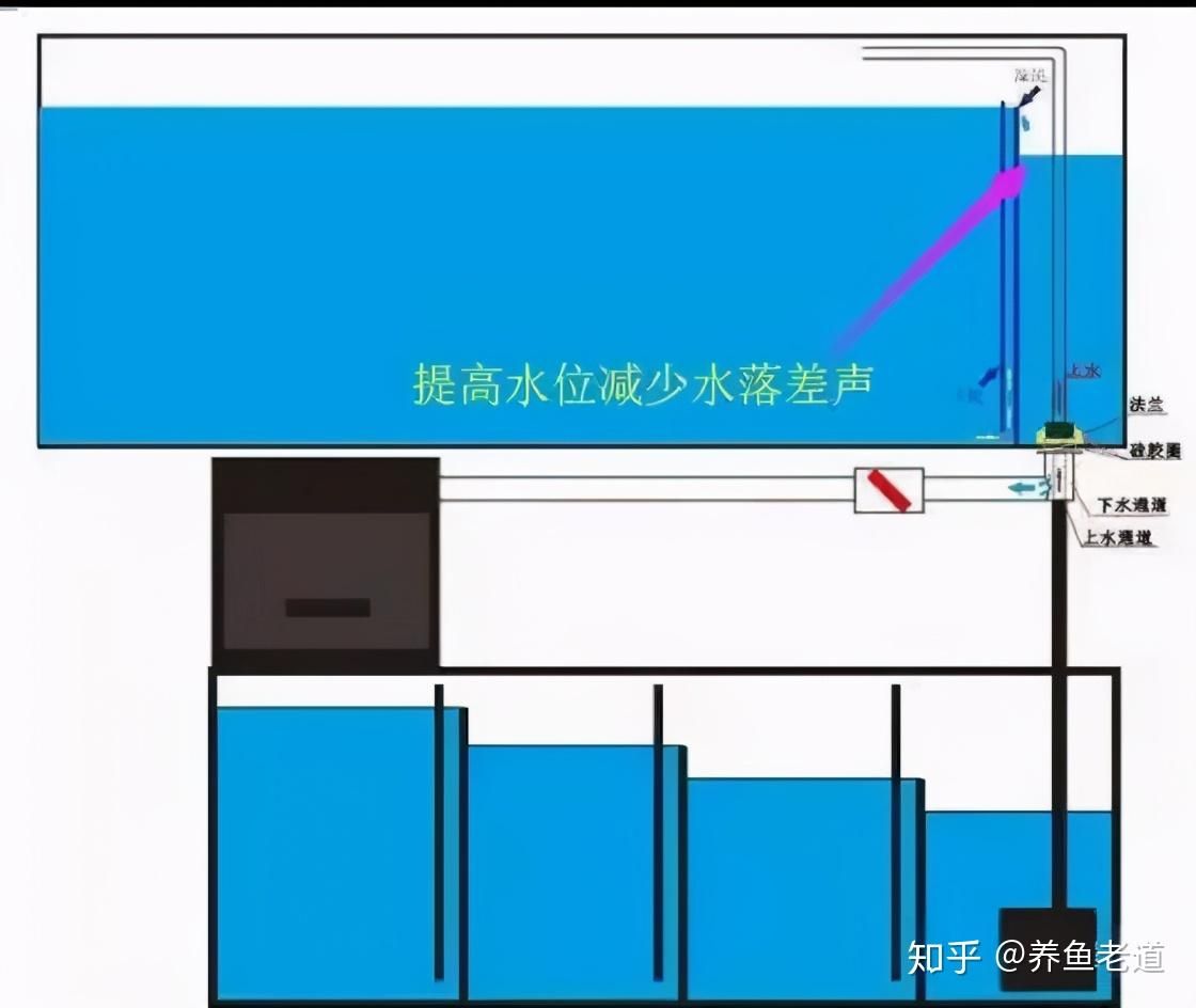 魚缸上水與下水位置（魚缸上水與下水位置的設置） 魚缸風水 第2張