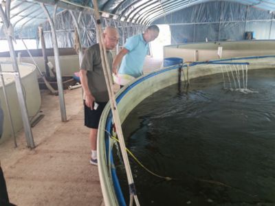 出龍魚飼料公司（2023年龍魚飼料品牌排行榜） 魚缸風水 第4張