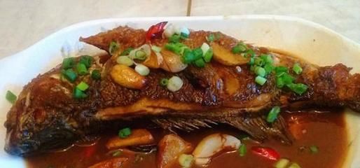 帝龍魚怎么吃（【皇帝魚的做法大全】皇帝魚怎么做好吃） 魚缸風(fēng)水 第4張