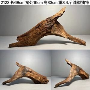 沉木對龍魚有什么好處（養(yǎng)龍魚缸里放沉木對魚有什么好處嗎）