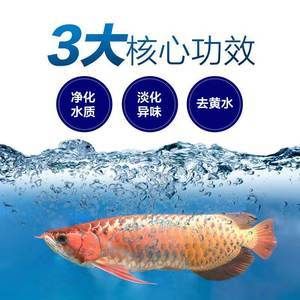 魚缸上水下水分解圖（關(guān)于魚缸上水下水系統(tǒng)的分解圖） 魚缸風(fēng)水 第2張