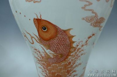 彩龍魚(yú)怎么樣（“七彩龍魚(yú)”直接相關(guān)信息詢(xún)問(wèn)有關(guān)“七彩龍魚(yú)”情況） 魚(yú)缸風(fēng)水 第2張