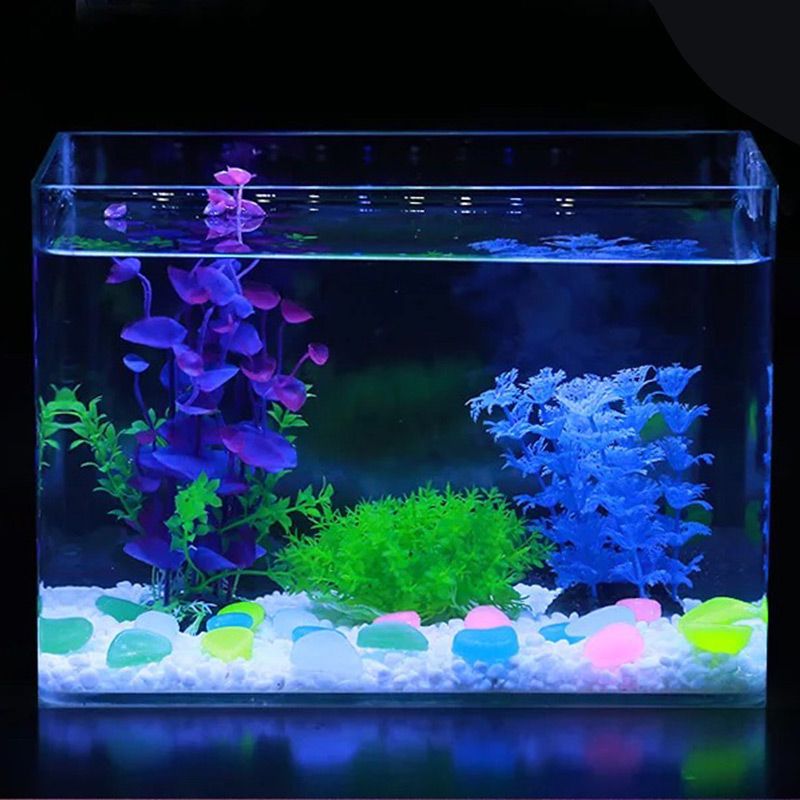 魚缸裝飾品（選擇魚缸裝飾品怎么賣） 魚缸風水 第4張