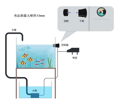 魚缸水管安裝視頻（魚缸上下水管如何安裝） 魚缸風水 第6張