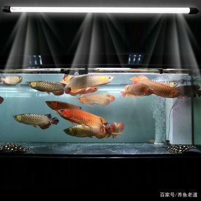 魚缸預(yù)留預(yù)埋水電圖怎么看（如何識(shí)讀魚缸預(yù)留預(yù)埋水電圖） 魚缸風(fēng)水 第7張