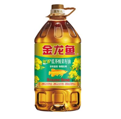 純金龍魚（純金龍魚是一種非常特別的龍魚品種） 魚缸風(fēng)水 第3張