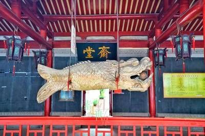 福州游龍魚（關(guān)于“游龍魚”的問題） 魚缸風(fēng)水 第4張