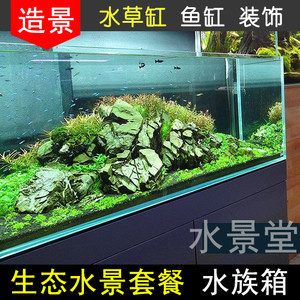 魚(yú)缸擺客廳什么位置最佳（杜鵑根對(duì)魚(yú)缸水的好處有哪些8款魚(yú)缸造景技巧） 魚(yú)缸風(fēng)水 第6張