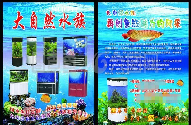 雙層魚缸設(shè)計(jì)（魚缸設(shè)計(jì)工具推薦） 魚缸風(fēng)水 第6張