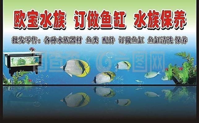 雙層魚缸設(shè)計(jì)（魚缸設(shè)計(jì)工具推薦） 魚缸風(fēng)水 第8張