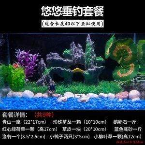 魚缸怎樣裝飾效果圖大全（魚缸裝飾怎么做） 魚缸風水 第2張