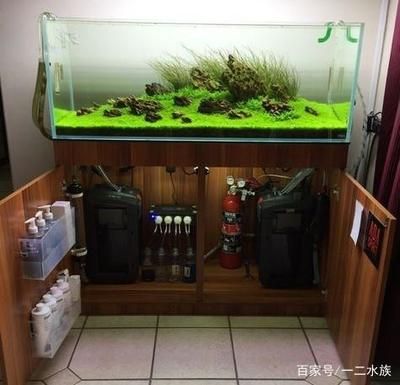 魚缸擺放在影視墻風水怎么樣（魚缸換水的正確方式） 魚缸風水 第2張