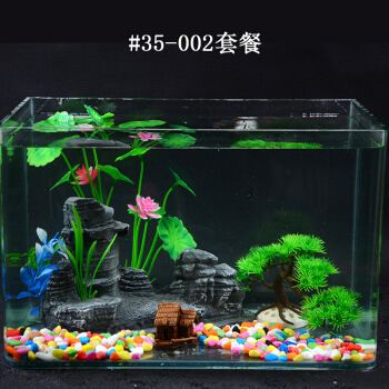 魚缸怎樣裝飾效果圖片（怎么弄魚缸簡(jiǎn)單又好看） 魚缸風(fēng)水 第1張