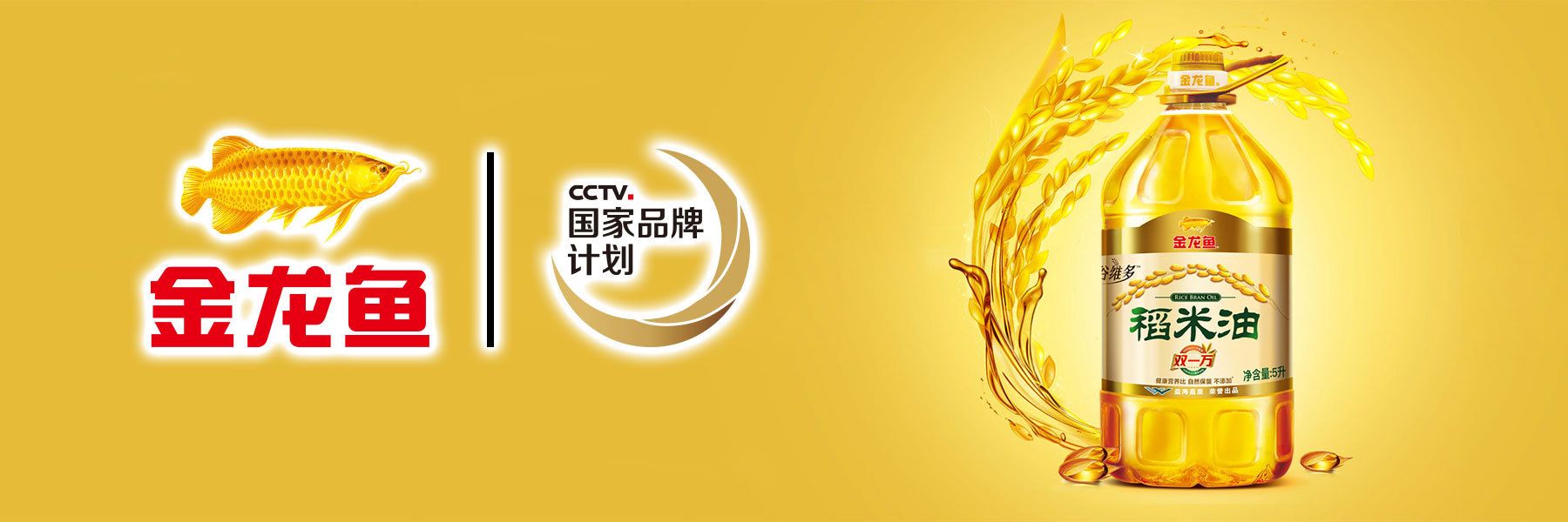 福州市臺江區(qū)金龍魚總代理電話（福州市臺江區(qū)金龍魚總代理） 魚缸風(fēng)水 第4張