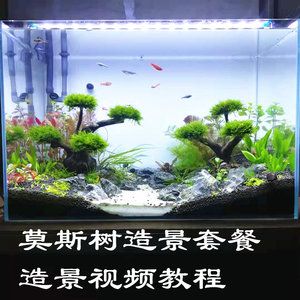 魚缸室內(nèi)裝修效果圖片（裝飾魚缸的視頻素材） 魚缸風(fēng)水 第7張