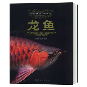 飛吧龍魚（關(guān)于“飛吧龍魚”的問題） 魚缸風(fēng)水 第3張