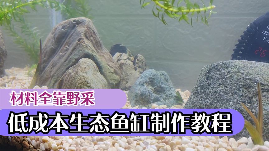 水缸改魚缸教程（新手養(yǎng)魚怎么布置魚缸360問答魚缸擺放方法） 魚缸風(fēng)水 第4張