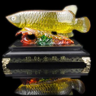 東南亞金龍魚(yú)肉（金龍魚(yú)是什么魚(yú)） 魚(yú)缸風(fēng)水 第6張